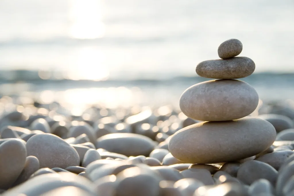 Partner with Us for a Resilient Future